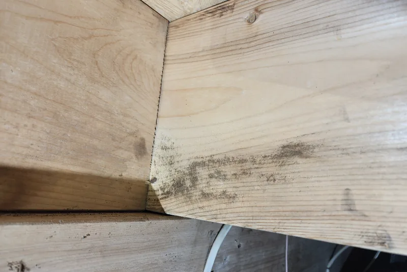 Dark mold and mildew staining on floor joists and subfloor sheathing in a Wake County NC crawl space