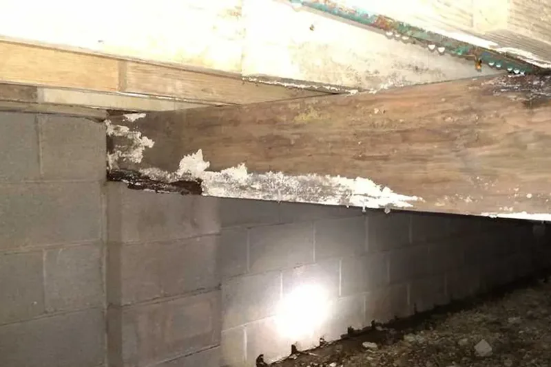 White fungal mold growth and dark staining on a crawl space floor joist above a block foundation wall in a Wake County NC home