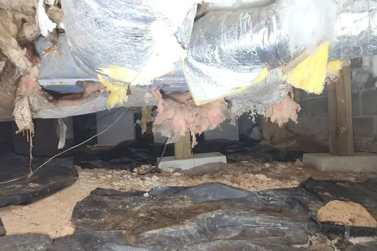 5 Signs Your Crawl Space Needs Encapsulation in NC