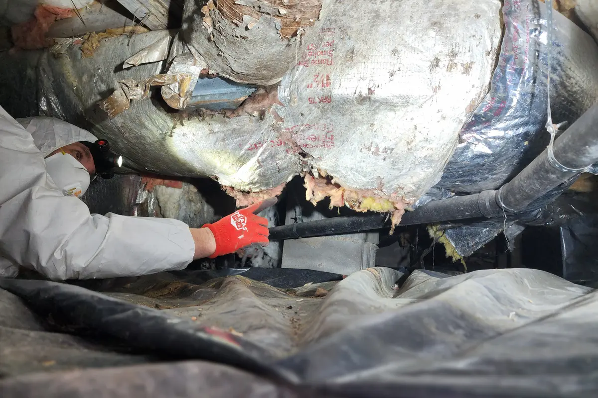 Peak Energy technician inspecting torn duct insulation and exposed fiberglass on crawl space ductwork in a Wake County NC home